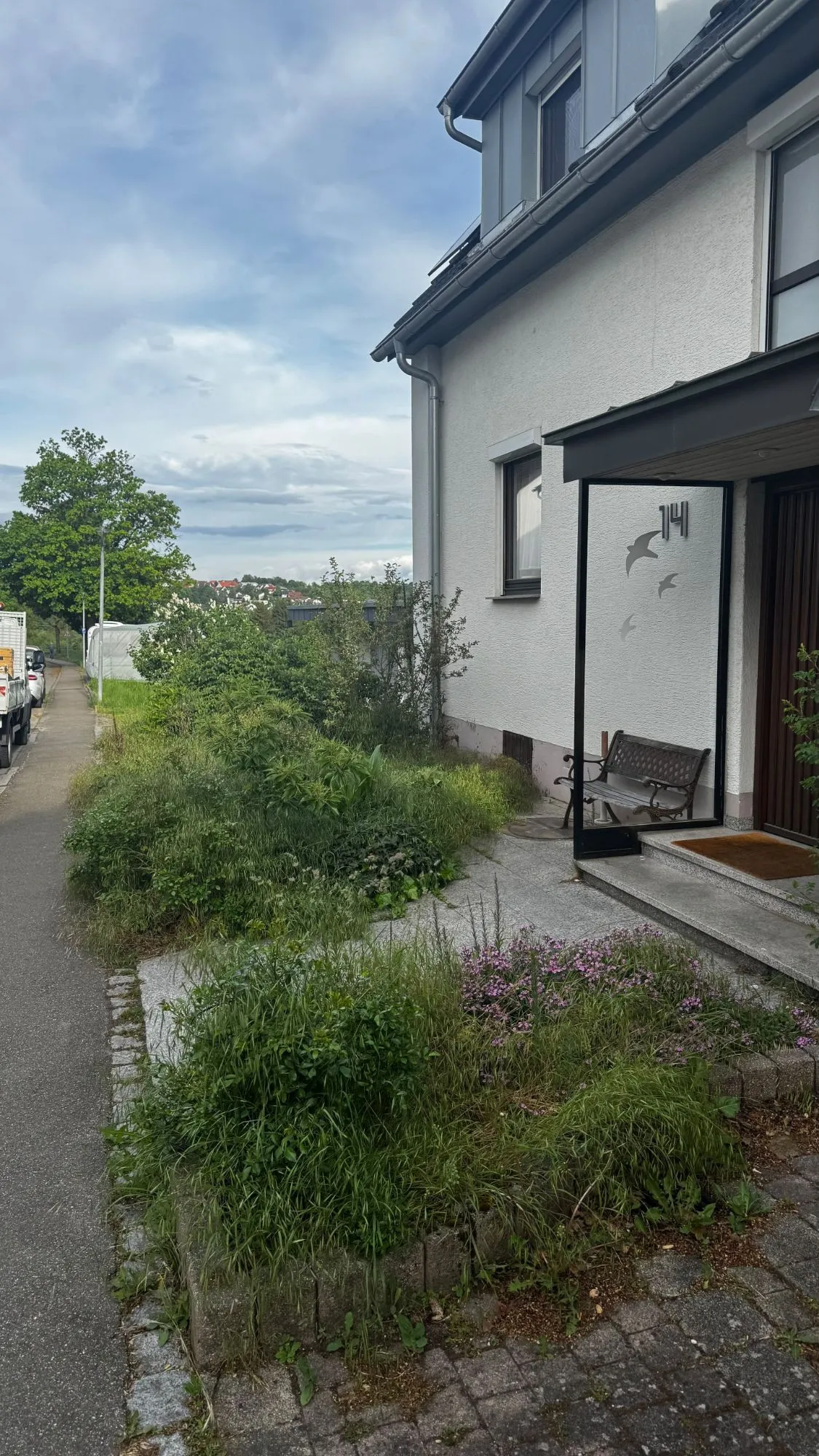 Vorher: Verwilderter Vorgarten neu angelegt in Ort